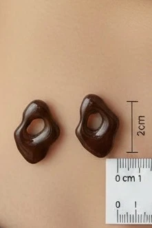 Minimal Abstract Chocolate Brown Stud Earrings - brown