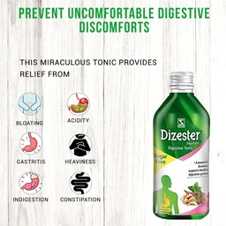 Dr Willmar Schwabe India Pvt Ltd Dr Willmar Schwabe India Dizester Herbal Digestive Tonic | Sugar Free (200ml)