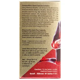 Baidyanath Jhansi Baidyanath Rheumartho Gold Plus Capsule (30caps)