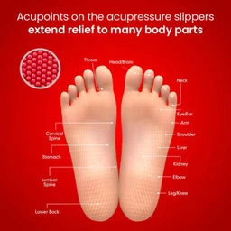 Dr. Ortho Acupressure Slippers UK7 - UK 7 (265mm)