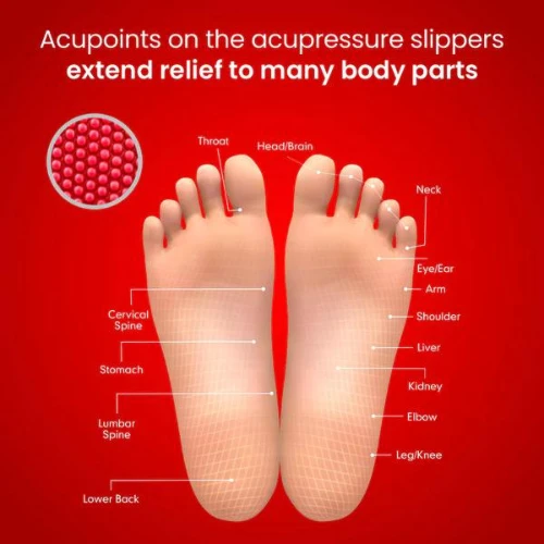 Dr. Ortho Acupressure Slippers UK7 - UK 7 (265mm)