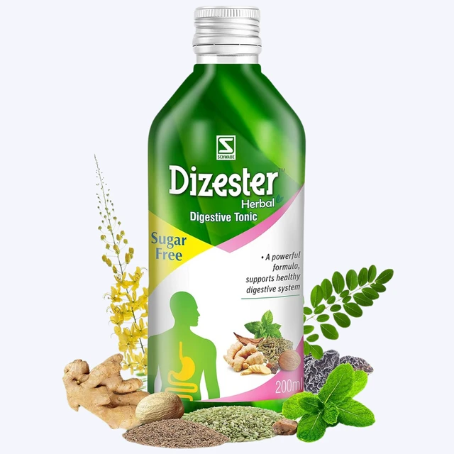 Dr Willmar Schwabe India Pvt Ltd Dr Willmar Schwabe India Dizester Herbal Digestive Tonic | Sugar Free (200ml)