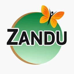 Zandu Dadimashtak Churna (60gm)