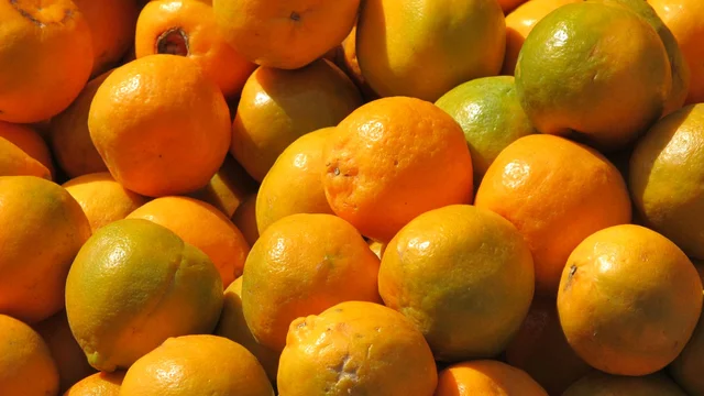 all fruits ( फल) - seb ( apple) , kela ( banana) , angoor ( grapes) , anar , santara ( orange) , keevi, aam (mango), fal - देशी संतरा 500 ग्राम