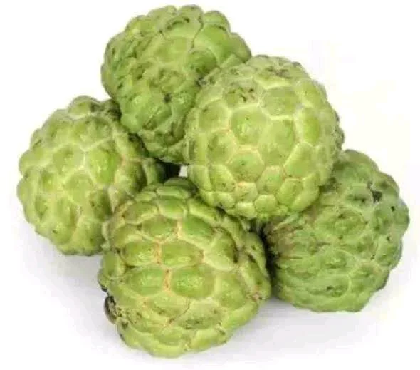 all fruits ( फल) - seb ( apple) , kela ( banana) , angoor ( grapes) , anar , santara ( orange) , keevi, aam (mango), fal - सीताफल 500 ग्राम