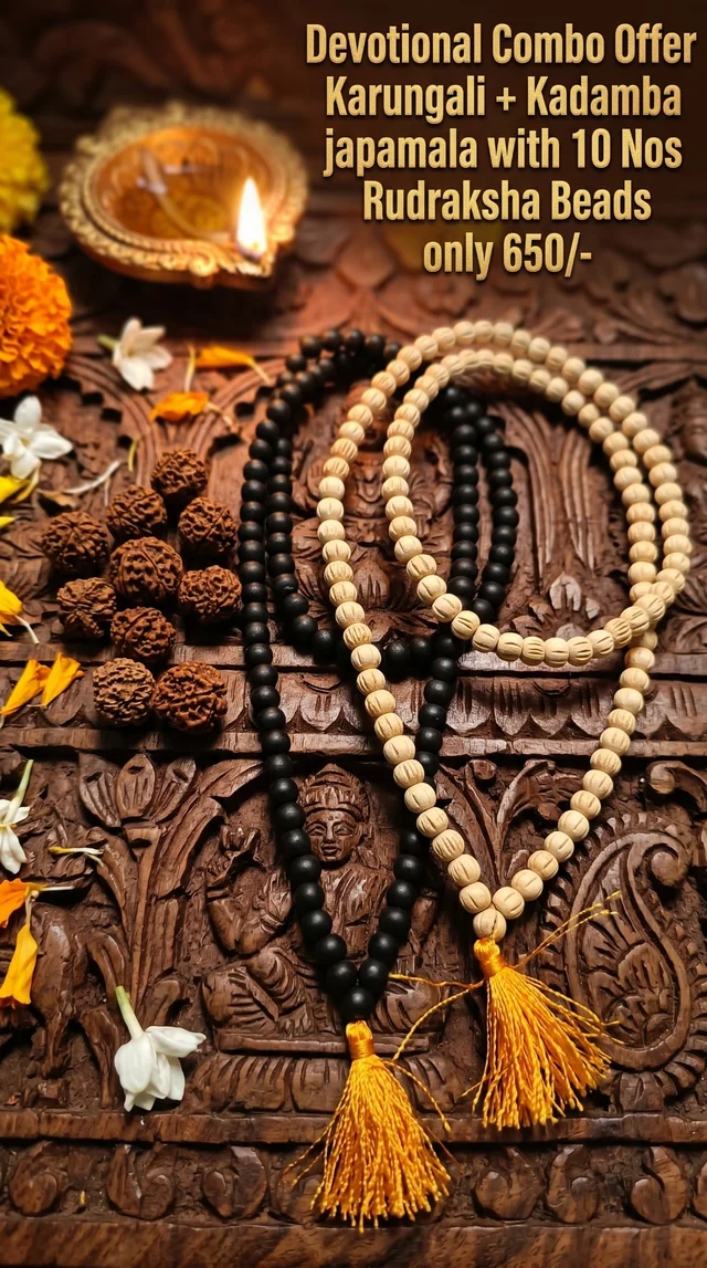 Devotional Combo Offer Karungali+Kadamba +Rudraksha Beads - 8 mm