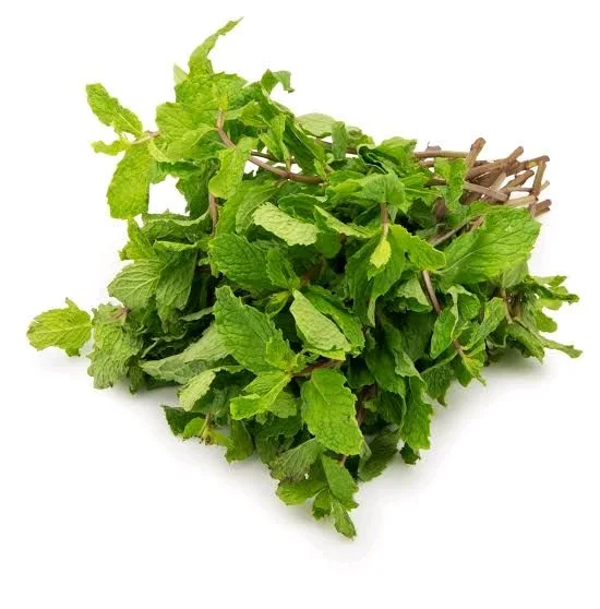 Mint - 1 Bunch