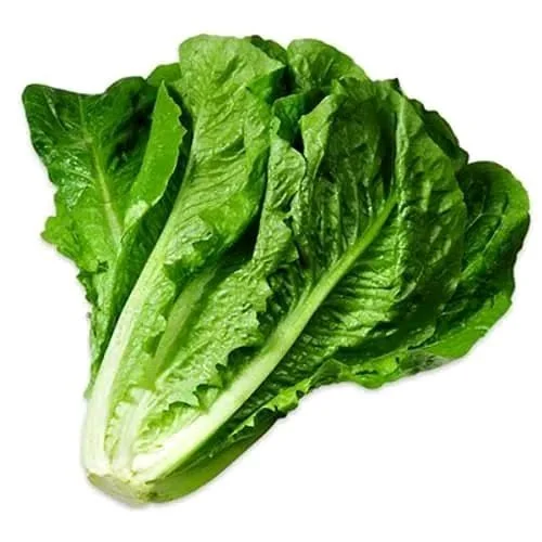 Lettuce - 250g