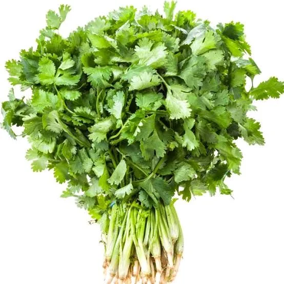 Coriander - 1 Bunch