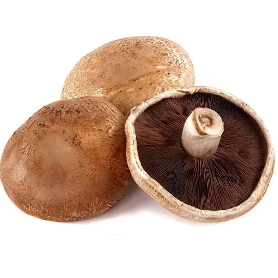 Mushroom Portobello - 250g