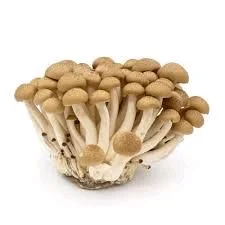 Mushroom Shimeji - 150g
