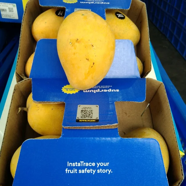 Banganapalli Mango - 1 Kg