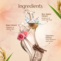 Astaberry Professional Rice Water Face Wash 195ml | Gentle Facial Cleanser | Helps Remove Dirt & Impurities | Refreshes Skin | Supports Hydration | Daily Face Cleanser