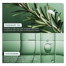 Biolage Full Rescue Anti-Breakage Shampoo 400ml | Shampoo for Hair Fall & Breakage | Rosemary Oil & Niacinamide | Stronger Hair