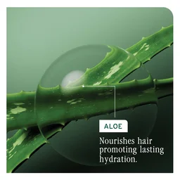 Biolage Hydra Source Anti-Dryness Conditioner 100ml | Conditioner for Dry Hair | Deep Hydration, Soft & Moisturized Hair