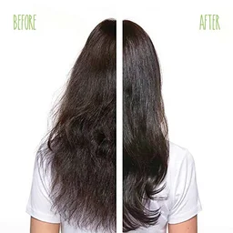 Biolage ScalpSync Full Rescue Aminexil Hair Treatment 10x6ml | Professional Anti Hair Fall Treatment | Strengthens Roots & Supports Thicker, Fuller-Looking Hair - 10x6 ml