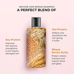 De Fabulous Reviver Hair Repair Shampoo 250ml | Sulphate Free | pH Balanced Shampoo | Repairs DryFrizzy Hair | Strengthens Smoothness & ShineFor All Hair Types