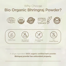 Indus Valley 100% Pure Bhringraj Powder 100g | Natural Preservative-Free Hair Care Powder for Hair Oil, Masks & DIY Packs | For Strong, Shiny & Healthy-Looking Hair