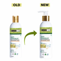 Indus Valley Anti-Dandruff Shampoo 200ml with Rosemary Oil | Helps Control Flakes & Soothe Itchy Scalp | Supports Hair Fall Defense, Scalp Care & Healthy-Looking Hair