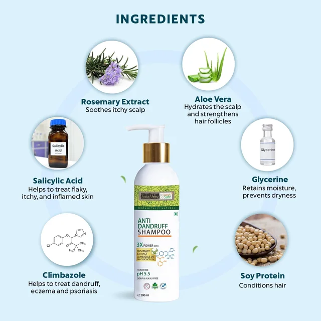 Indus Valley Anti-Dandruff Shampoo 200ml with Rosemary Oil | Helps Control Flakes & Soothe Itchy Scalp | Supports Hair Fall Defense, Scalp Care & Healthy-Looking Hair