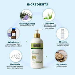 Indus Valley Anti-Dandruff Shampoo 500ml with Rosemary Oil | Helps Control Flakes & Soothe Itchy Scalp | Supports Hair Fall Defense, Scalp Care & Healthy-Looking Hair