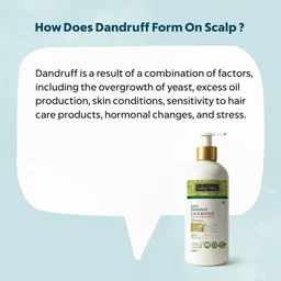 Indus Valley Anti-Dandruff Shampoo 500ml with Rosemary Oil | Helps Control Flakes & Soothe Itchy Scalp | Supports Hair Fall Defense, Scalp Care & Healthy-Looking Hair
