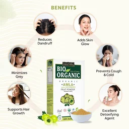 Indus Valley Bio Organic 100% Natural Amla Powder 100g | Indian Gooseberry Fruit Powder Rich in Antioxidants | For Hair Care, Skin Care, Drinking & Eating