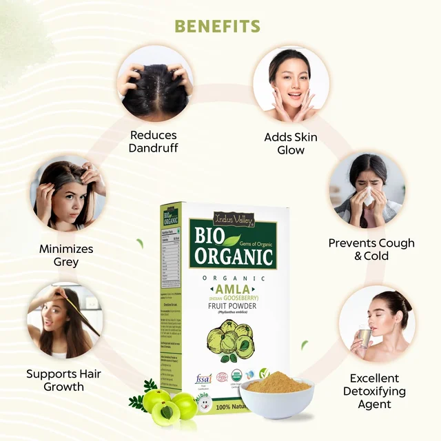 Indus Valley Bio Organic 100% Natural Amla Powder 100g | Indian Gooseberry Fruit Powder Rich in Antioxidants | For Hair Care, Skin Care, Drinking & Eating