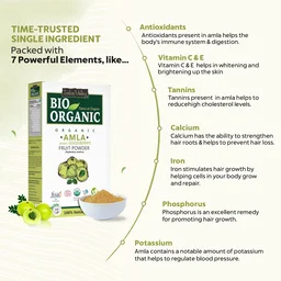 Indus Valley Bio Organic 100% Natural Amla Powder 100g | Indian Gooseberry Fruit Powder Rich in Antioxidants | For Hair Care, Skin Care, Drinking & Eating