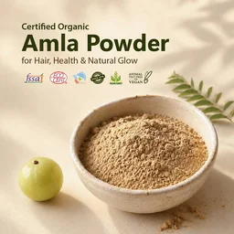 Indus Valley Bio Organic 100% Natural Amla Powder 250g | Indian Gooseberry Fruit Powder Rich in Antioxidants | For Hair Care, Skin Care, Drinking & Eating