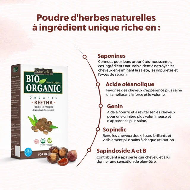 Indus Valley Bio Organic 100% Organic Reetha Powder 100g | Sapindus Mukorossi Natural Herbal Hair Cleanser | Chemical-Free Reetha for Hair & Scalp Care | Healthy-Looking Hair