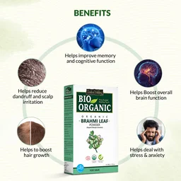 Indus Valley Bio Organic Brahmi Leaf Powder 100g | Pure Bacopa Monnieri Ayurvedic Herb | Natural Herbal Powder for Memory, Focus, Brain Wellness & Hair Care