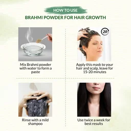 Indus Valley Bio Organic Brahmi Leaf Powder 100g | Pure Bacopa Monnieri Ayurvedic Herb | Natural Herbal Powder for Memory, Focus, Brain Wellness & Hair Care