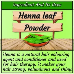 Indus Valley Bio Organic Herbal Henna Leaf Powder 500g | Natural Henna Powder for Hair Care | DIY Hair Pack for Conditioning, Smoothness, Shine & Healthy-Looking Hair