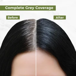 Indus Valley INDUS VALLEY Damage Free Natural Gel Hair Colour 220ml Medium Brown 4.00 for Women & Men | 100% Grey Coverage | Ammonia & PPD Free Herbal Organic Conditioning Hair Color
