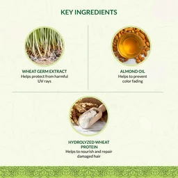Indus Valley Eaze Spa 175ml | 100% Organic Deep Nourishing Hair Spa Treatment | Intensive Hair Care for Dry, Rough & Damaged Hair | Helps Promote Soft, Smooth & Healthy-Looking Hair