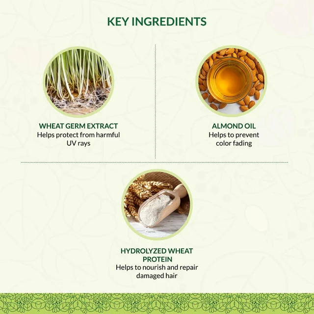 Indus Valley Eaze Spa 175ml | 100% Organic Deep Nourishing Hair Spa Treatment | Intensive Hair Care for Dry, Rough & Damaged Hair | Helps Promote Soft, Smooth & Healthy-Looking Hair