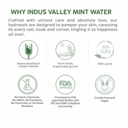 Indus Valley Natural Mint Water Facial Toner 250ml | Refreshing Mint Face Toner for Fresh, Clean & Revitalized Skin | Daily Care for Normal, Oily & Combination Skin
