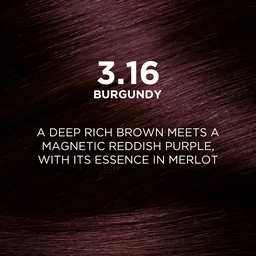 Loreal Professionnel Loreal Paris Excellence Creme Burgundy 3.16 | 72ml+100g | Triple Care Hair Color | 100% Grey Coverage | Long Lasting Color | Permanent Hair Color for Shiny, Healthy Hair | Vibrant Burgundy Hair Color | Shade -