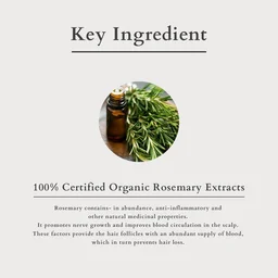 Lotus Organics+ Hair Fall Control Multi-Herbs Oil 200ml | Enriched with 100% Certified Organic Rosemary, Bhringraj & Amla | Strengthens Roots | Reduces Hair Fall | Promotes Growth Naturally