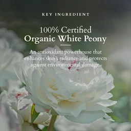 Lotus Organics+ Precious Brightening Facial Kit 54g x 4| With 4 Steps for Instant Bright & Glowing Skin | Enriched with 100% Certified Organic Actives | For Men & Women