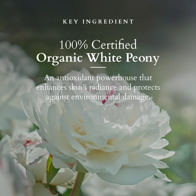 Lotus Organics+ Precious Brightening Facial Kit 54g x 4| With 4 Steps for Instant Bright & Glowing Skin | Enriched with 100% Certified Organic Actives | For Men & Women