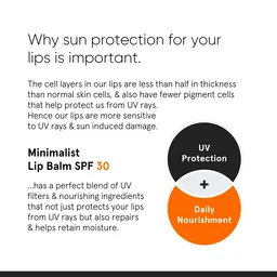 Minimalist SPF 30 Lip Balm 8g | With Ceramides & Hyaluronic Acid | Broad Spectrum Lip Protection & Deep Nourishment | Non-Sticky, Hydrating Lip Care for Women & Men