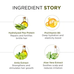 Oshea Herbals Keratin Hair Repair Shampoo 500ml | Strengthens & Repairs Damaged Hair | Smooth, Shiny & Frizz-Free | Deep Nourishment with Keratin Protein | For Men & Women