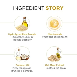 Oshea Herbals Rice Water Nourishing Shampoo 300 ml Enriched with Niacinamide, Oatmeal & Rice Water for Stronger, Smoother Hair | Deep Hydration & Repair| Controls Hair Breakage