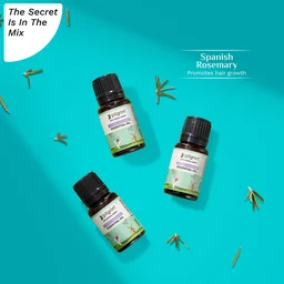 Pilgrim Spanish Rosemary Essential Oil - 10ml | Rosemary essential oil for hair growth | Improves Scalp Health | Reduces Hair Fall | Strengthens Hair | Chemical Free | For All Hair Types