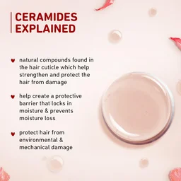 Plum All Hair Hibiscus & Ceramides Conditioner 175gm | Nourishing & Strengthening Conditioner with Shea Butter | Smoothens Hair, Prevents Split Ends | 100% Vegan & Cruelty-Free