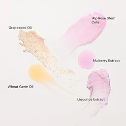 Raaga Professional Stem Cells Infused Mulerry 6 Step Facial Kit - 61g | With Mulberry and Alp Rose Stem Cells | Reduces Dark Spots | Rejuvenating facial | Anti-Aging Facial Kit | Deep Hydrating | for All Skin Types