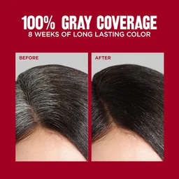 Revlon ColorSilk Permanent Hair Color 1WN Soft Black | 100% Grey Coverage | Ammonia-Free with Pro-Keratin & Silk Amino Acids | Up to 8 Weeks of Vibrant, Soft Black Salon Color
