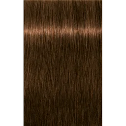 Schwarzkopf Professional Igora Royal Absolutes 6-50 Dark Blonde Gold Natural Hair Color 60ml | Permanent Hair Color | 100% Gray Coverage